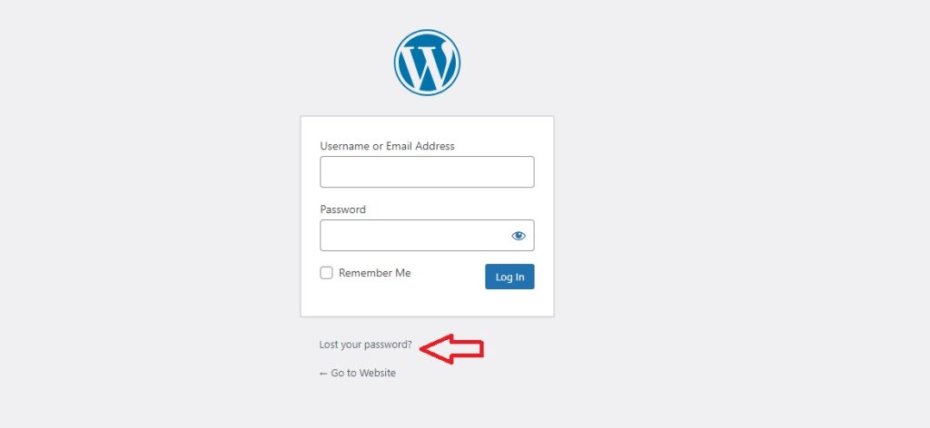 WordPress Admin Lost Your Password Option Selection
